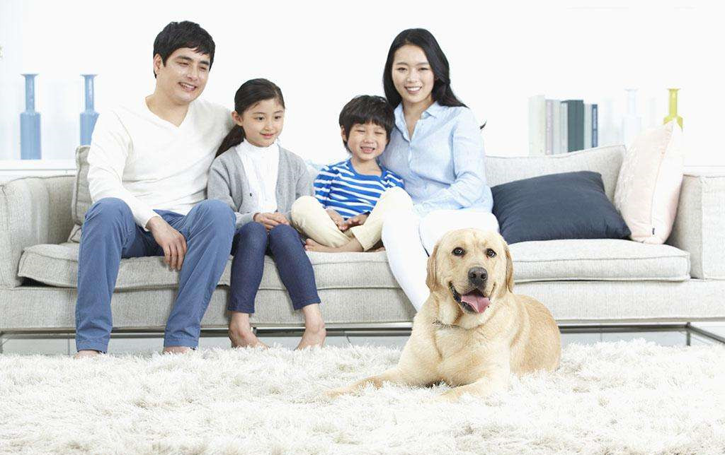 家里甲醛超標怎么辦,受污染影響的人群有哪些 家里甲醛超標怎么辦,受污染影響的人群有哪些