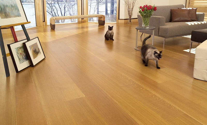 了解室內(nèi)甲醛超標(biāo)怎么辦,把握自己的健康 了解室內(nèi)甲醛超標(biāo)怎么辦,把握自己的健康