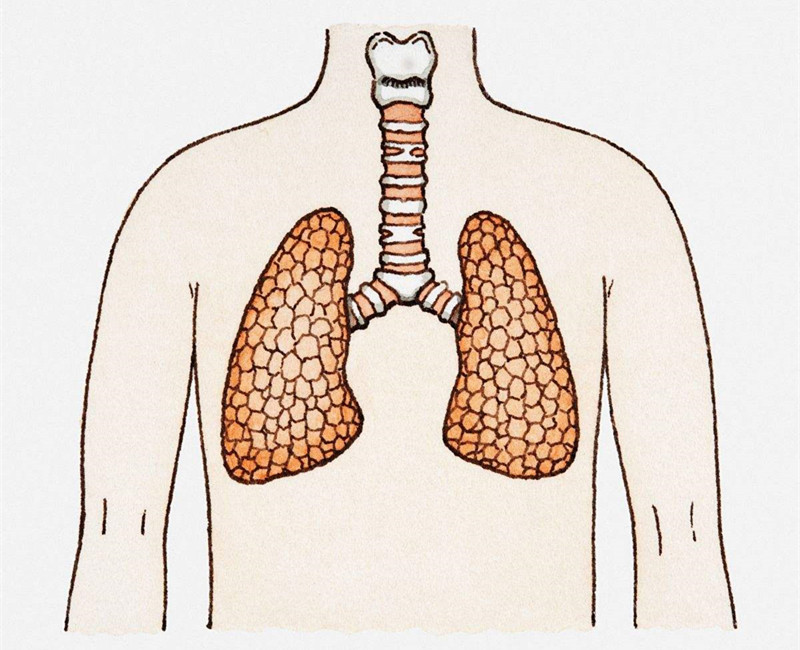 如何進(jìn)行甲醛治理?沒有治理過的空氣就像虐待肺 如何進(jìn)行甲醛治理?沒有治理過的空氣就像虐待肺