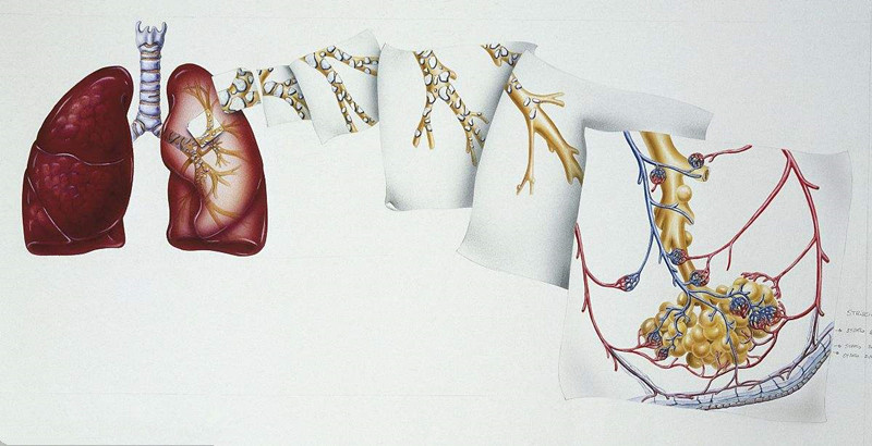 如何進(jìn)行甲醛治理?沒有治理過的空氣就像虐待肺 如何進(jìn)行甲醛治理?沒有治理過的空氣就像虐待肺