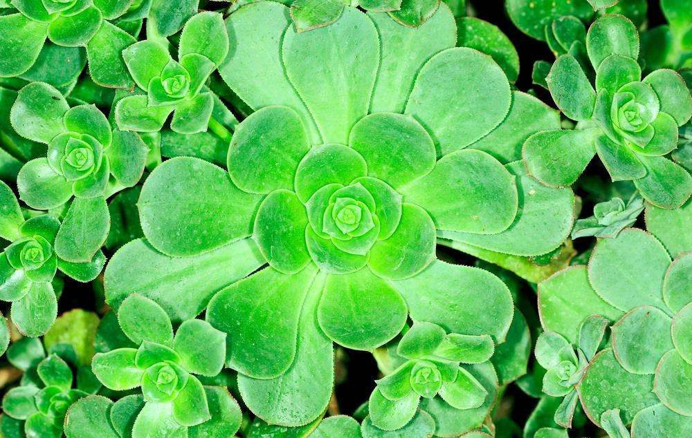 這樣去甲醛，您將親手“毀掉”自己的室內空氣環境，今天再忙也要看一下！