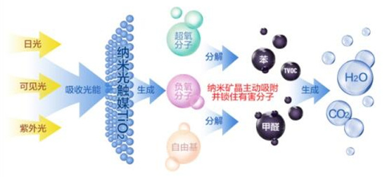 洋蔥可以除甲醛？民間流傳土方法可信嗎？