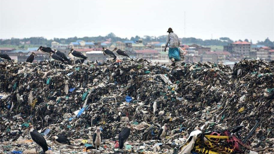 健康四月，環(huán)保政策搶先看！