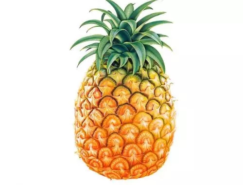 通風(fēng)半年甲醛仍超標(biāo)？甲醛治理要注意