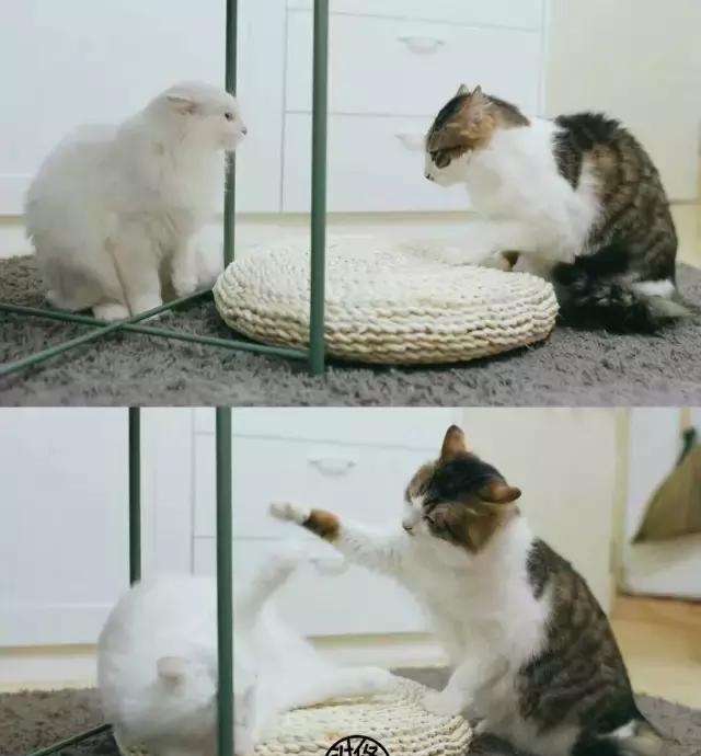 21天3000元重裝出租屋 除甲醛莫忘記！