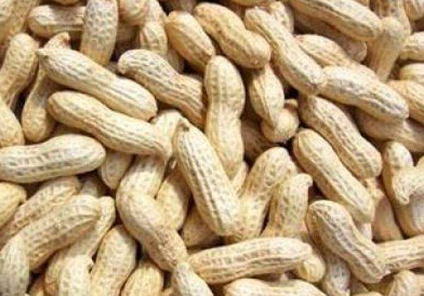 水煮花生含甲醛？實測多家燒烤店結果太可怕！