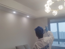 偏方真的能除甲醛嗎？