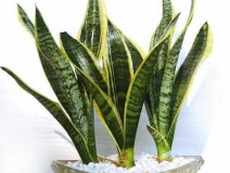 光觸媒是什么、原理及其作用