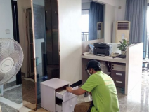 裝修后除甲醛依靠綠植可以嗎?