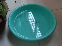 裝修完僅靠兩盆冷水就能除甲醛?這個說法連網友都出來辟謠!大家別再相信了!