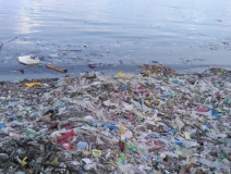 現(xiàn)代人生活節(jié)奏過快，卻導(dǎo)致環(huán)境空氣污染越來越嚴(yán)重