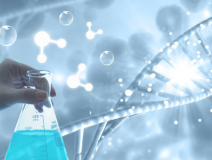 除甲醛需要注意什么?