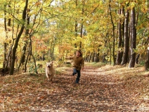 為什么秋季裝修異味這么重？甲醛超標怎么辦