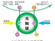 您知道或者聽說過光觸媒嗎？