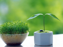 小護士中毒性肝病,都是新房甲醛等污染惹的禍