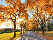 秋季新房裝修怎么樣進行甲醛治理呢?