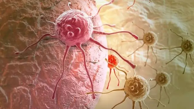 癌癥、白血病越來越多，是因為時代在進步而導(dǎo)致的嗎？