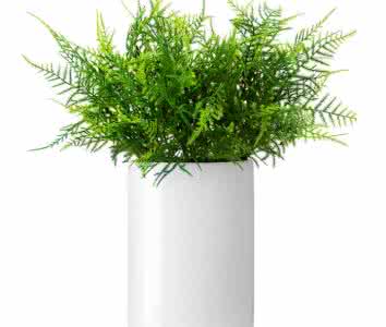 除了找除甲醛公司尋求幫助，還有什么辦法可以去毒