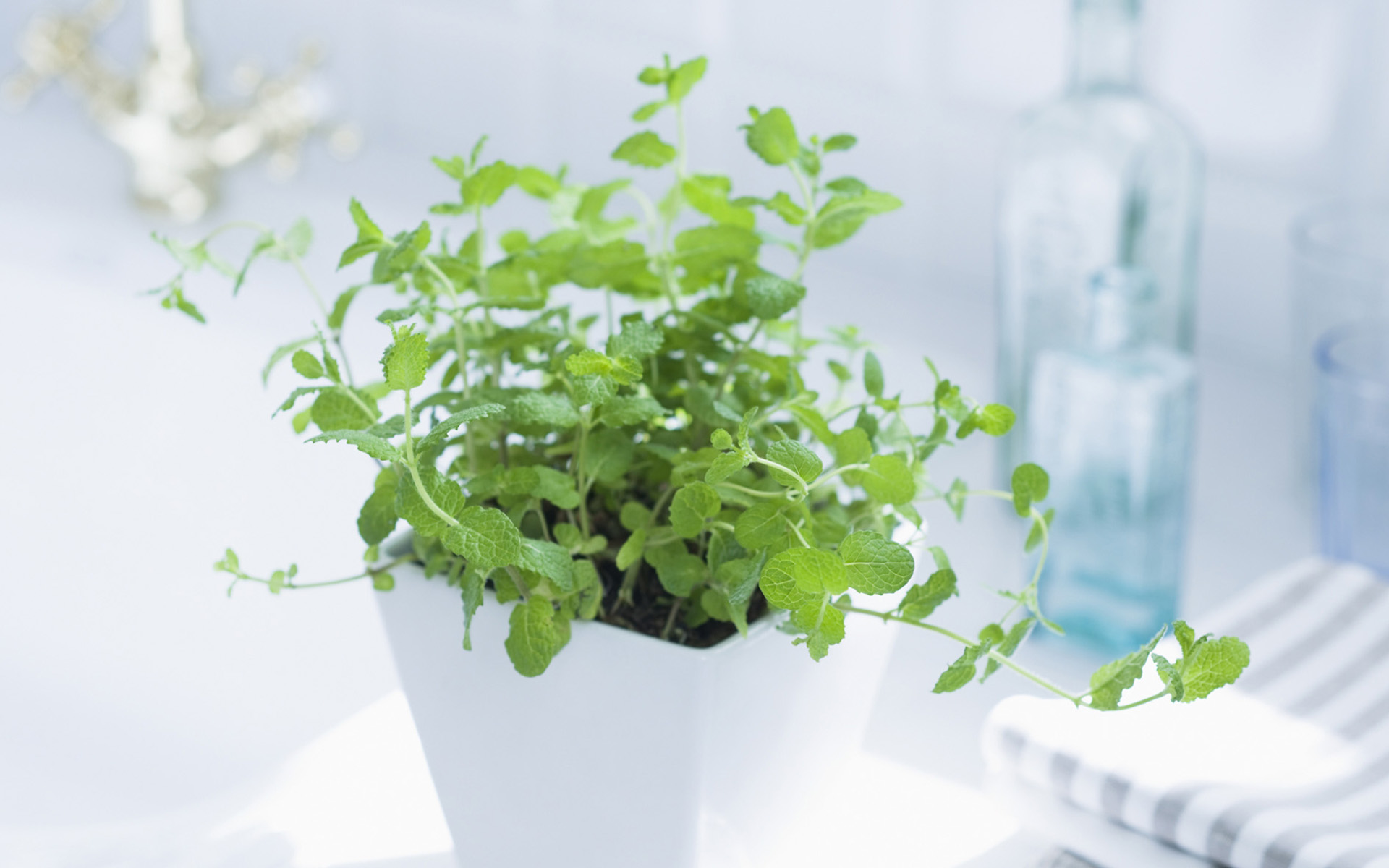 央視***主持人朱迅因癌癥離開大屏幕，這7個壞習慣最容易得癌癥！